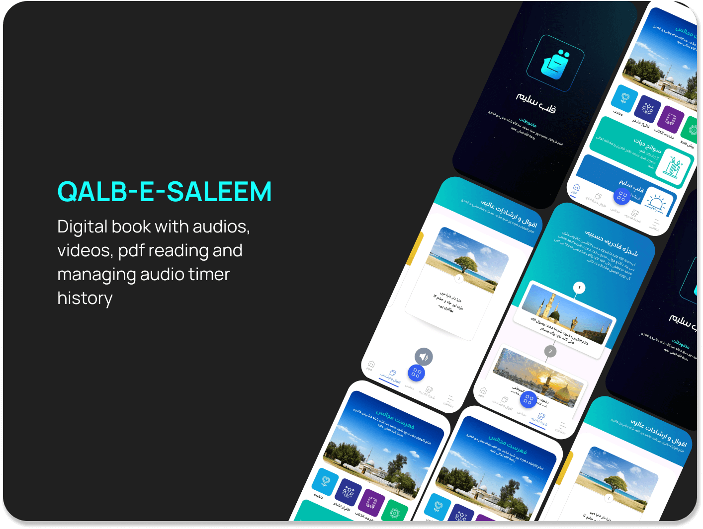 Qalb e Saleem